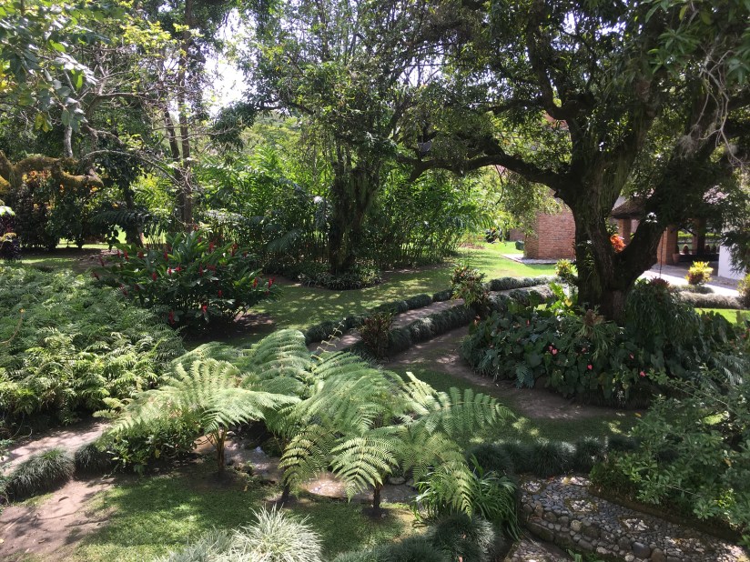 4d9eef02-6a71-415c-9721-8dd42c098938