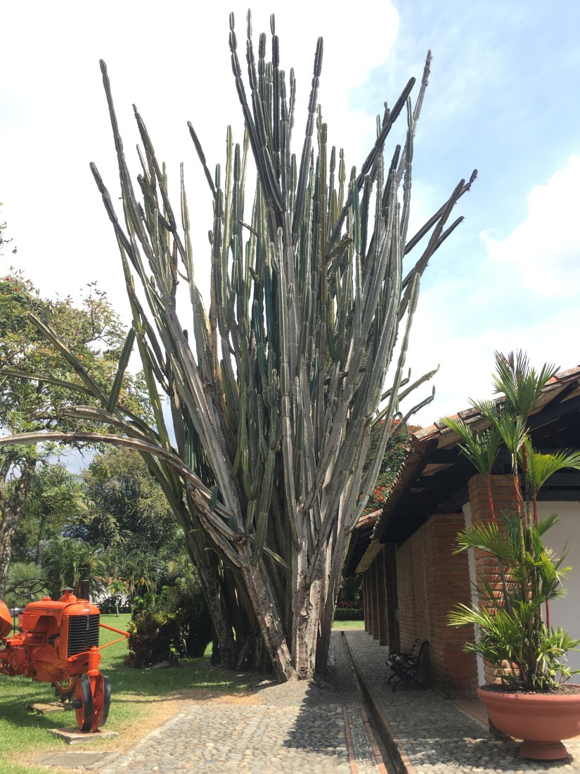 73160d55-d0d5-47ec-85d1-8c1660e28dc5