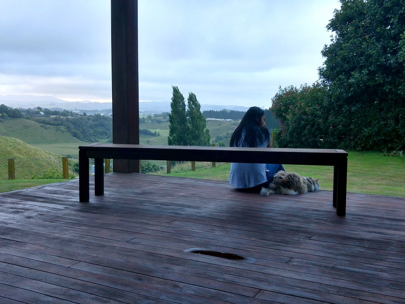 IMG_20190124_194821393_HDRedit