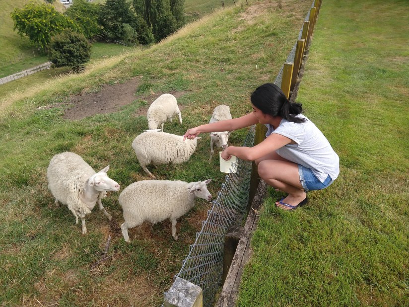 IMG_20190125_094155048