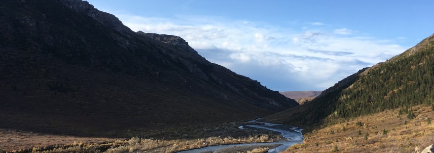 Denali National Park