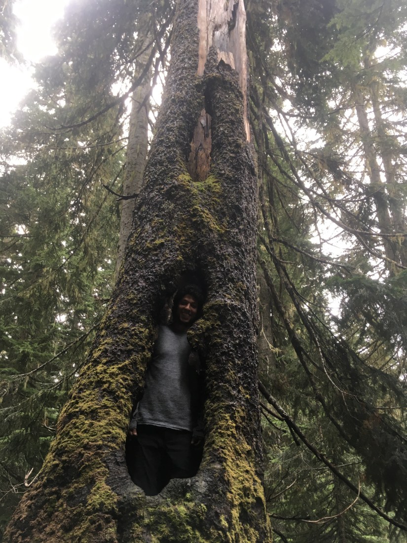 Kendall Katwalk, Pacific Northwest